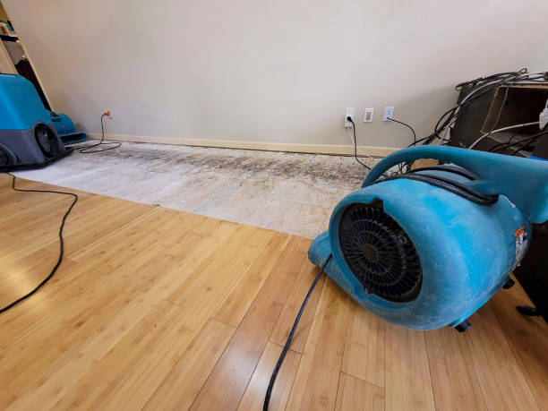 Professional Sewage Cleanup technician working in Cactus, TX